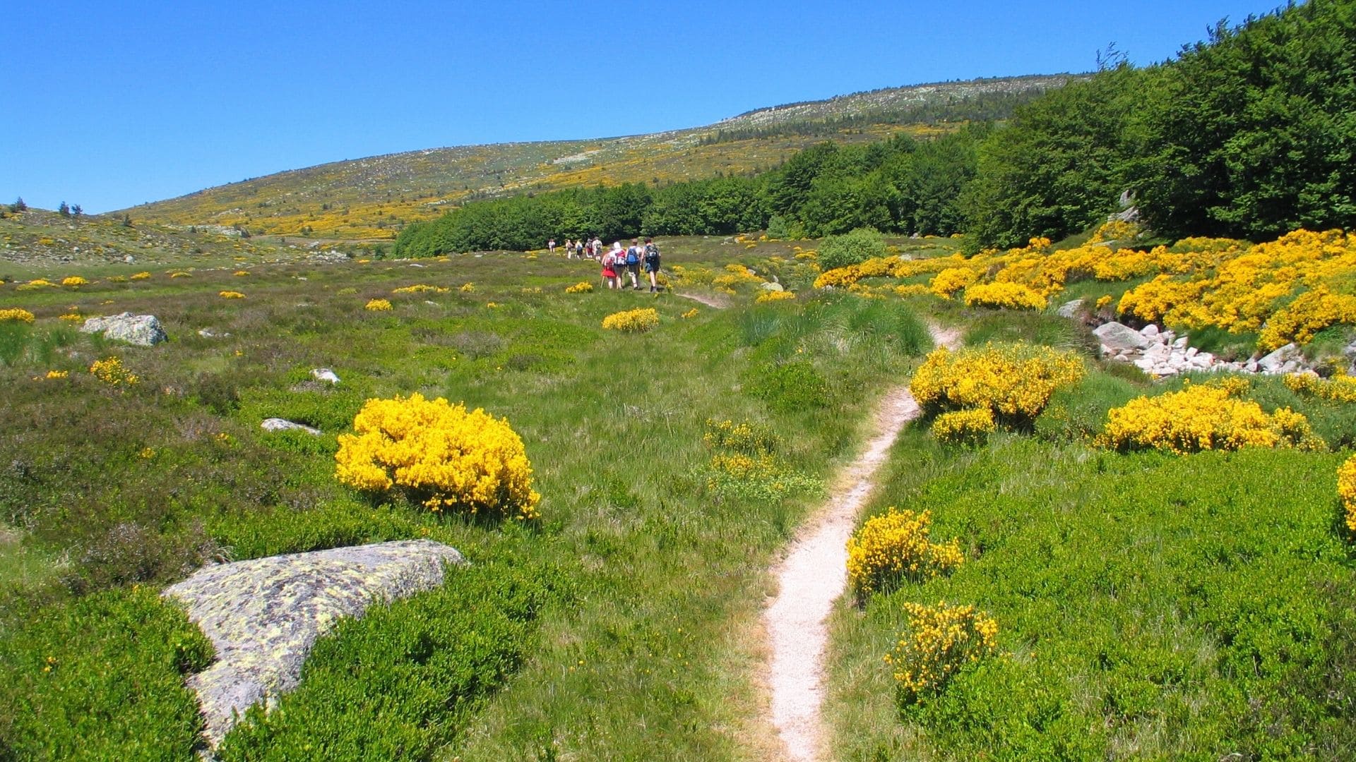 Le Chemin de Stevenson en 7, 8 ou 13 jours avec GRAND ANGLE Le chemin de Stevenson